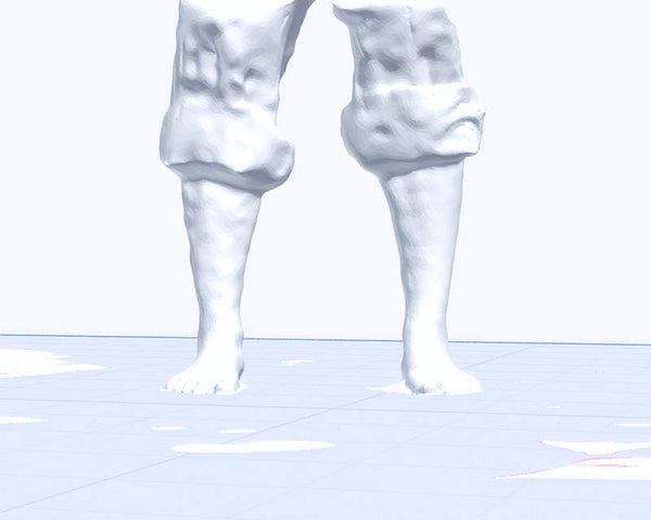 撮影データから作成した3D足型
